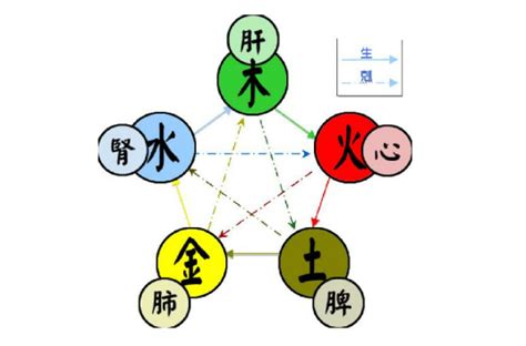 五行符|五行（对万事万物的取象比类）